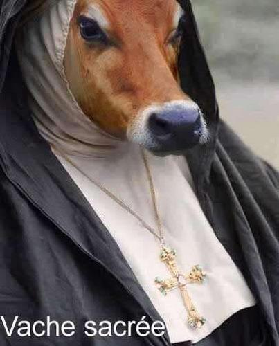 vache sacrée!!!!!!!!!!!!!